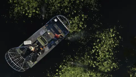 Imagem oficial: Grassrivers (3 de 6)